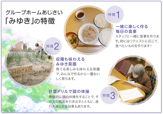 「あじさい みゆき」の特徴