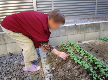 Point Blur_20181106_140155.jpg