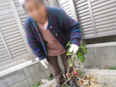 Point Blur_20190208_134404.jpg