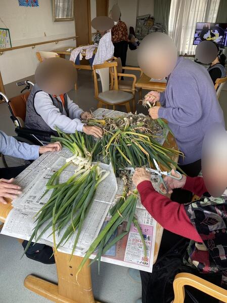 ねぎ3.jpg