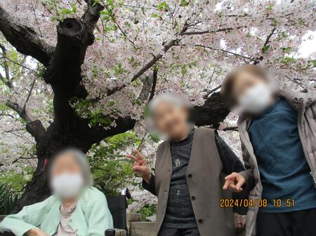 さくら② (1)-5-29.JPG