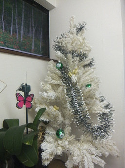 DSCF1648.JPGのサムネイル画像